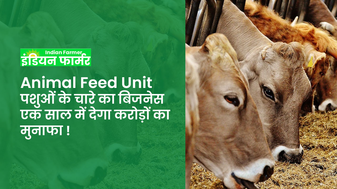 Animal Feed Unit : पशुओं के चारे का बिजनेस एक साल में देगा करोड़ों का मुनाफा !