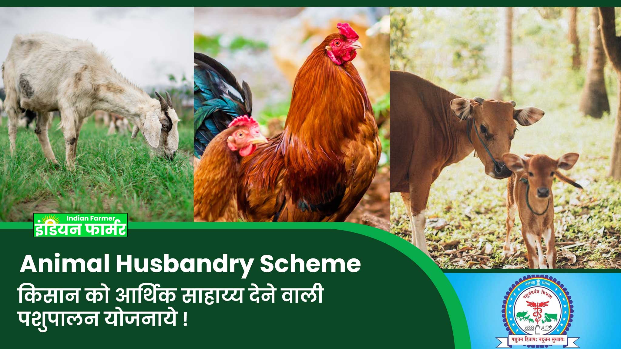 Animal Husbandry Scheme : किसान को आर्थिक साहाय्य देने वाली पशुपालन योजनाये !