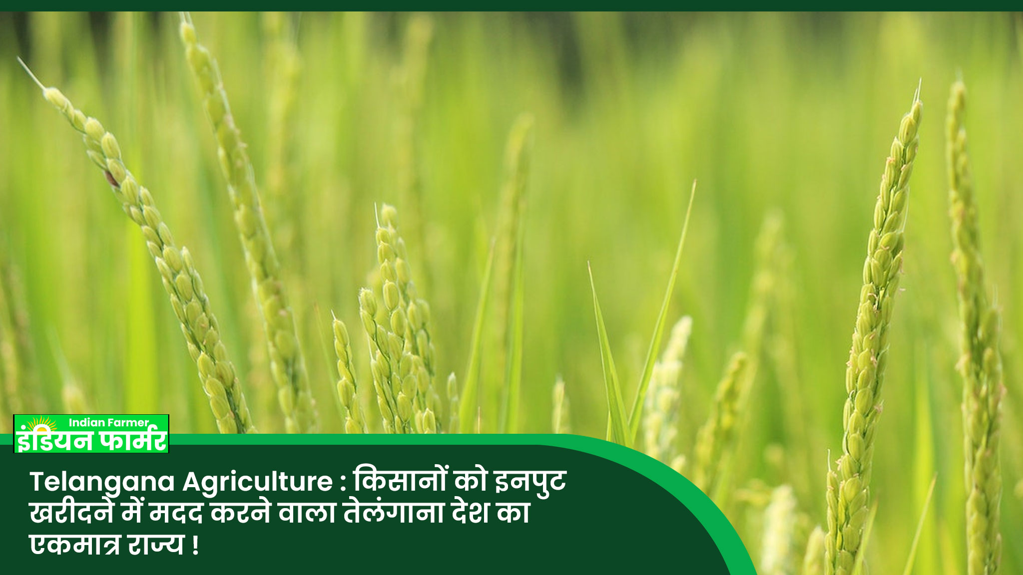 Telangana Agriculture : किसानों को इनपुट खरीदने में मदद करने वाला तेलंगाना देश का एकमात्र राज्य !
