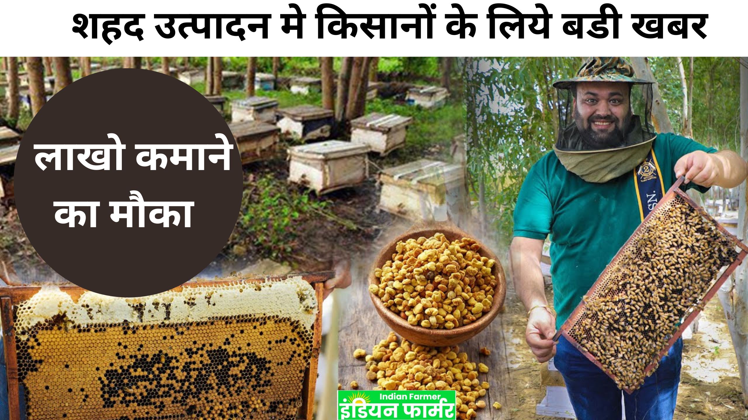 Honey Production : ‘हनी विलेज’ किसानों के लिये लेकरं आ रहा है लाखो कमाने का मौका ?