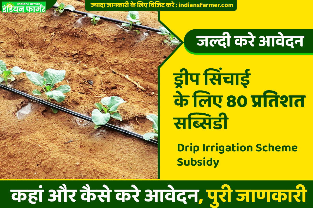 Drip Irrigation Scheme Subsidy