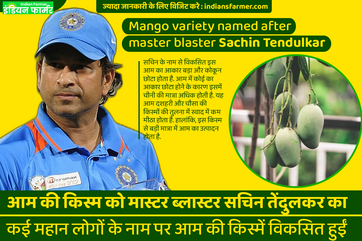 Mango variety named after master blaster Sachin Tendulkar
