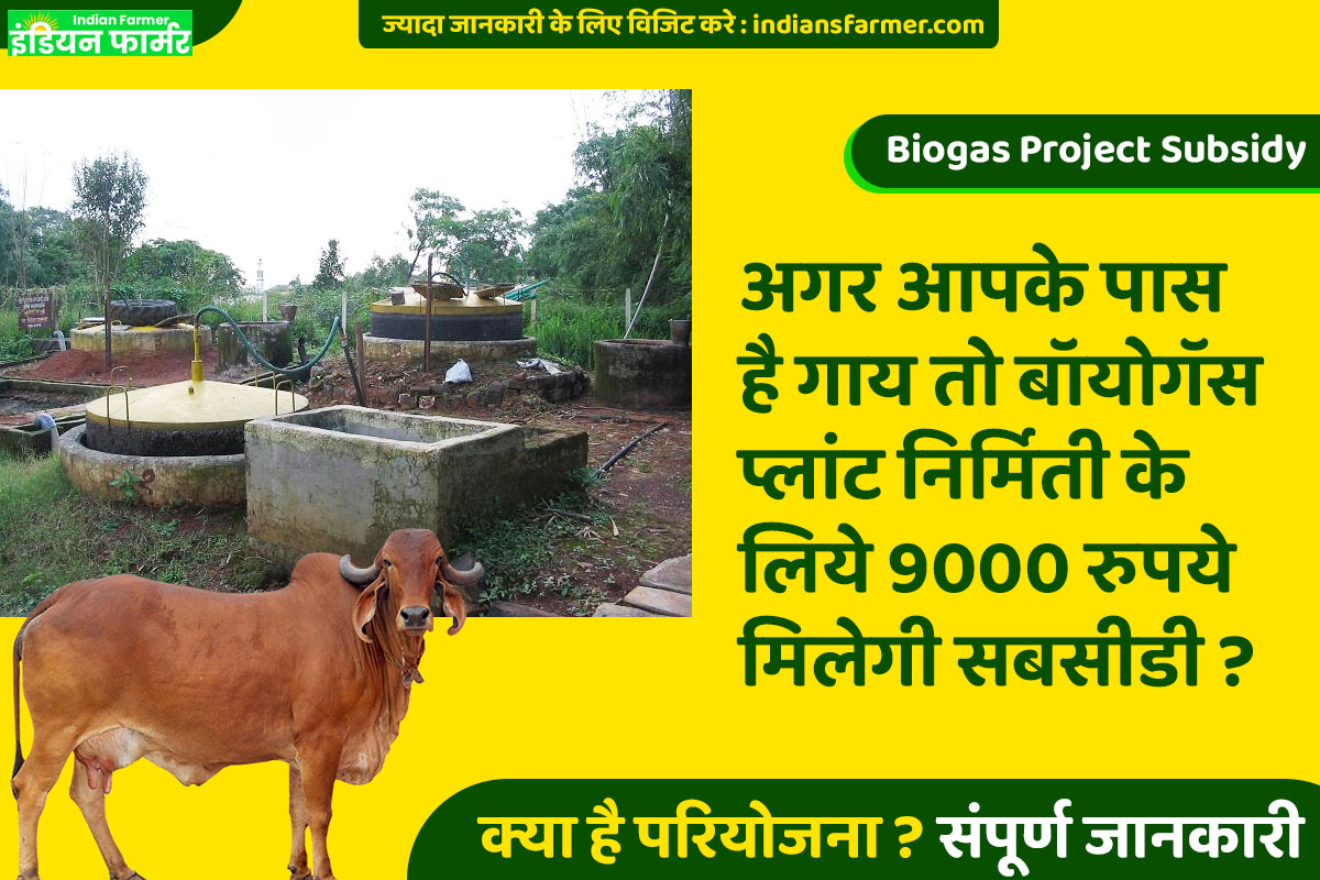 अगर आपके पास है गाय तो बॉयोगॅस प्लांट निर्मिती के लिये 9000 रुपये मिलेगी सबसीडी ?