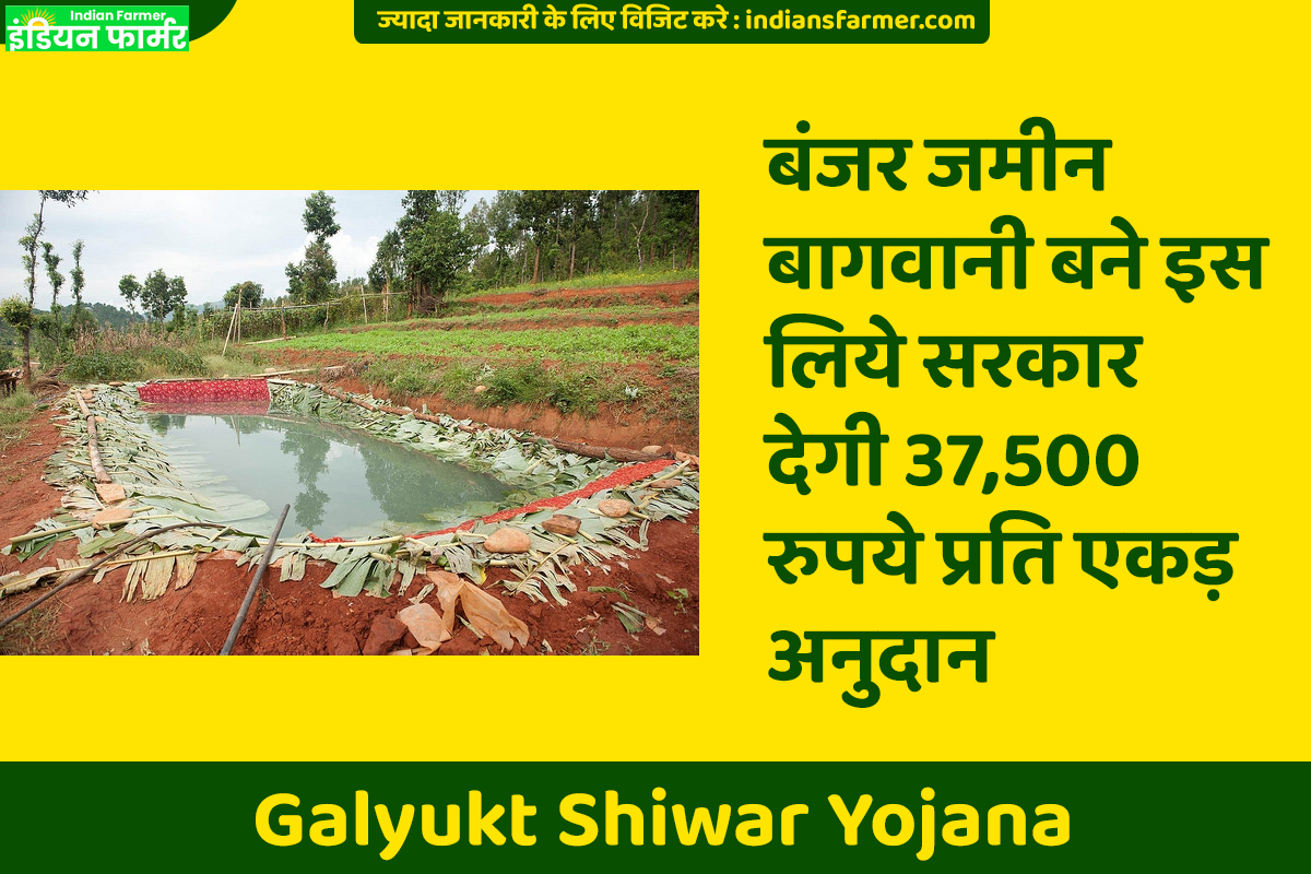 Galyukt Shiwar Yojana : बंजर जमीन बागवानी बने इस लिये सरकार देगी 37,500 रुपये प्रति एकड़ अनुदान !