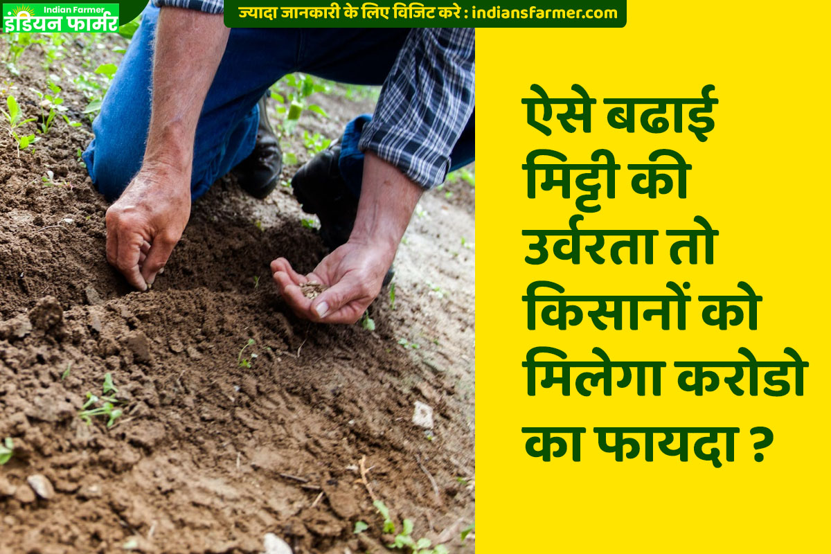 Pachat Kutti : मिट्टी कि उर्वरता बढाकर लाई जा सकती है फसलं मे वृध्दी !
