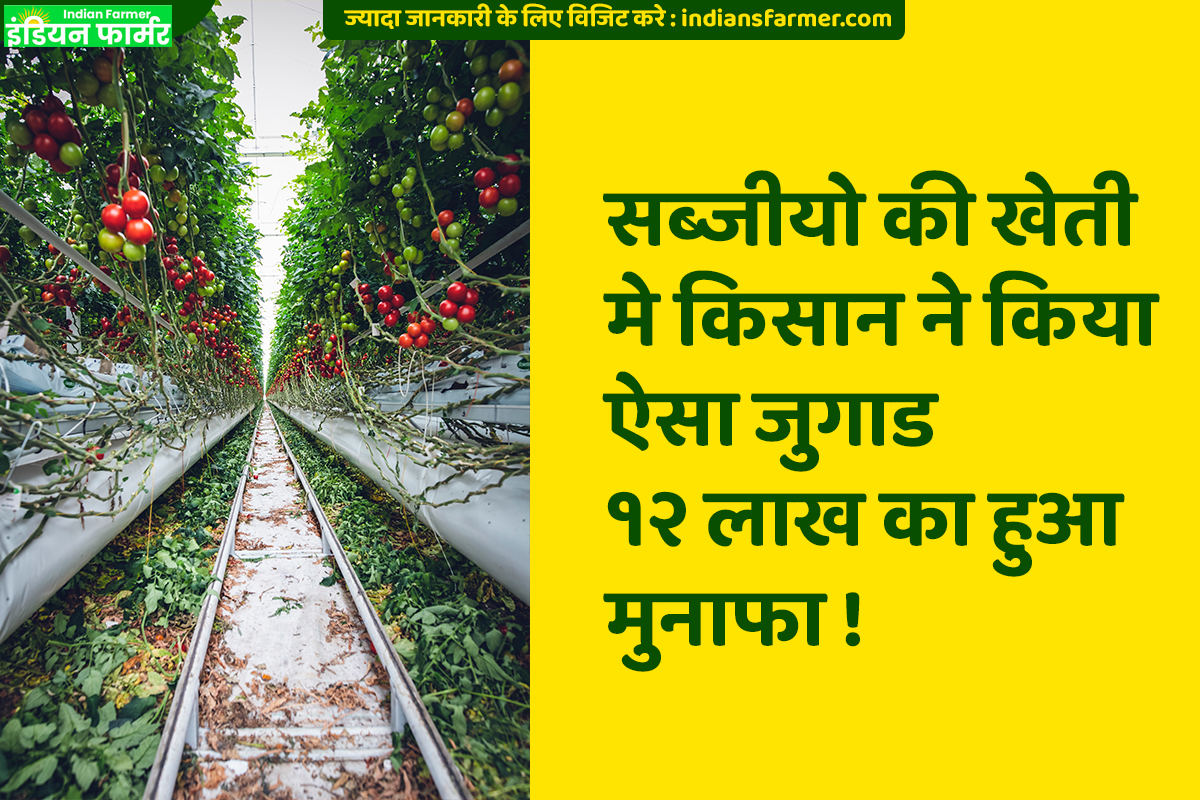 इस जुगाड से सब्जीयो कि खेती कर किसान ने सालभर मे कमायें १२ लाख रुपये !