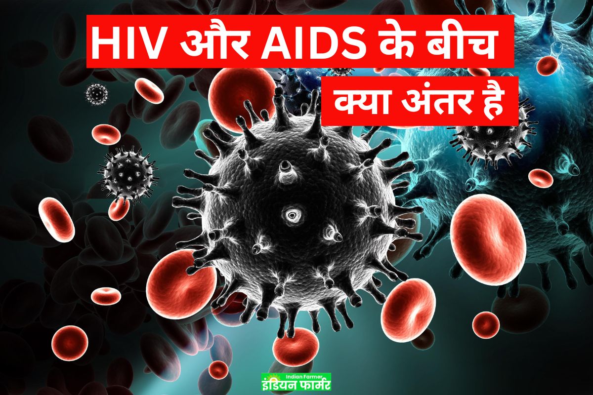 HIV और AIDS के बीच वास्तव में क्या अंतर है