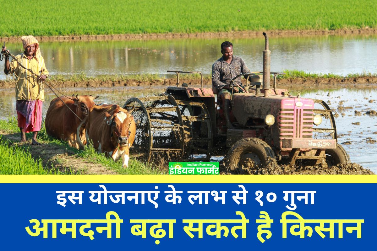 Farmer scheme:इस योजनाएं के लाभ से १० गुना आमदनी बढ़ा सकते है किसान !